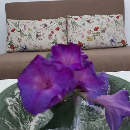 Irini - Cretan Luxury With Amazing View Villa Paraspori (Crete)
